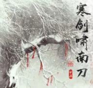 《寒剑啸南刀》剧本杀复盘_真相答案_线索推理【剧本解析】