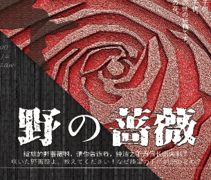 野の蔷薇/野之蔷薇剧本杀