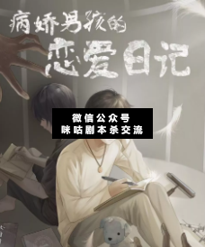 病娇男孩的恋爱日记剧本杀