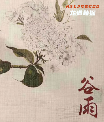 红豆剧本杀角色测评