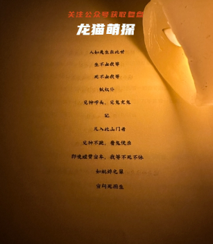 昼起三伏天剧本杀