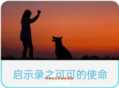 启示录之囚笼剧本杀凶手答案（我是谜系列）角色任务/线索流程真相结局