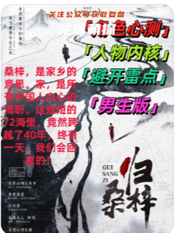 归桑梓剧本杀复盘测评