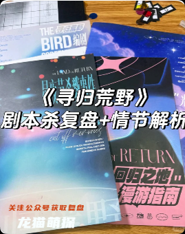 《寻归荒野》剧本杀