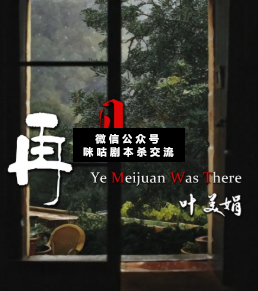 再见叶美娟剧本杀
