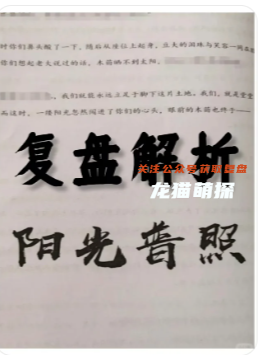 《阳光普照》剧本杀复盘