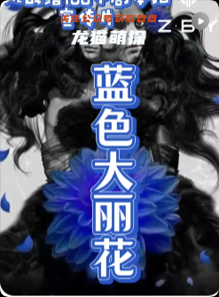 《蓝色大丽花》剧本杀