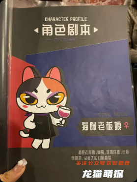 《谁杀了河狸爸爸》剧本杀