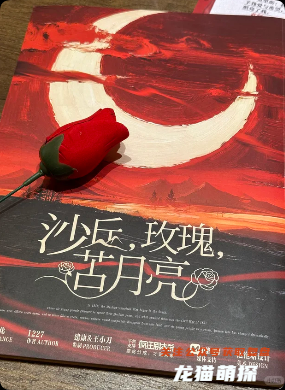 《沙丘，玫瑰，苦月亮》剧本杀