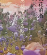 《桔梗花消逝的秋天》剧本杀复盘：日式社会派硬核+双版本侦探位+体验分化实测