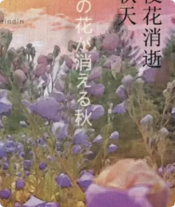 《桔梗花消逝的秋天》剧本杀
